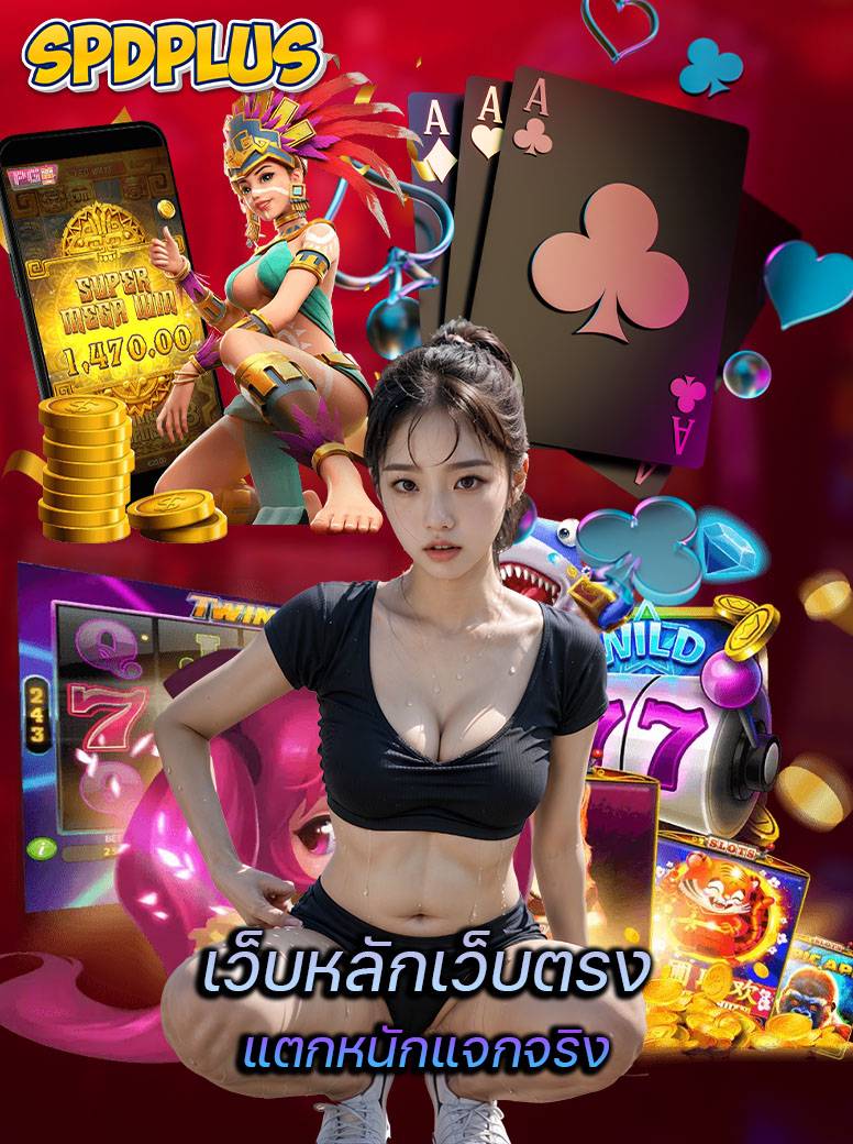 spdplus ทางเข้า